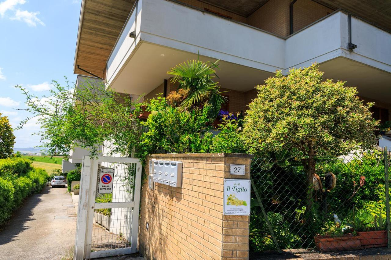 B&B Il Tiglio Porto Sant'Elpidio Exterior photo